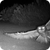 CTL Owl Icon